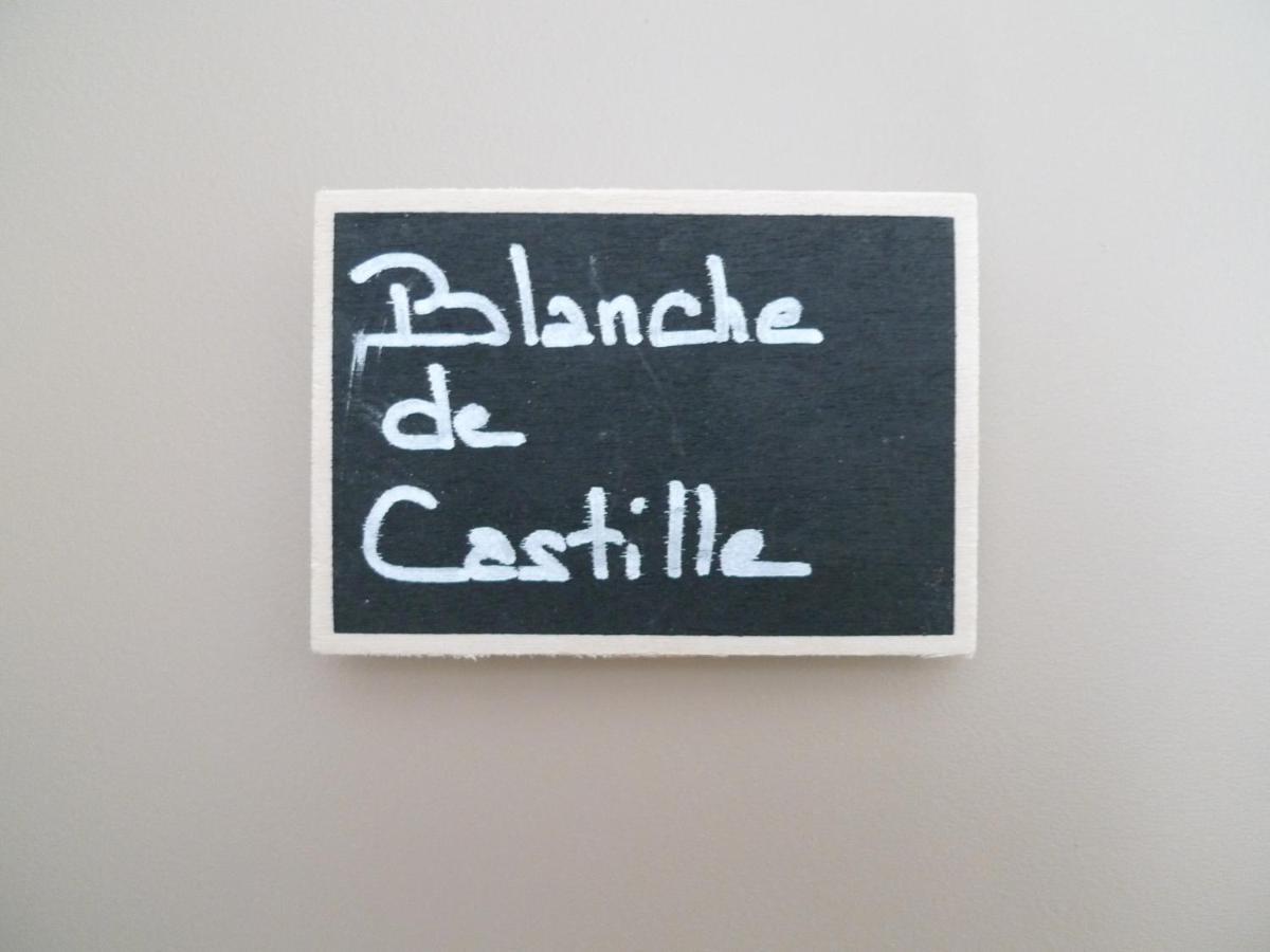 Ô 36 Rempart Sud B&B Aigues-Mortes Exterior foto